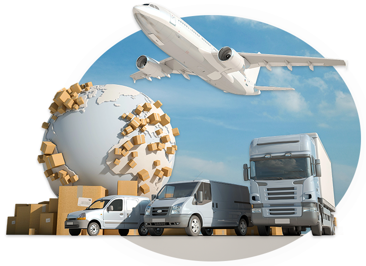 Deep cooperation with shipowners to ensure advantageous cabin space and freight rates